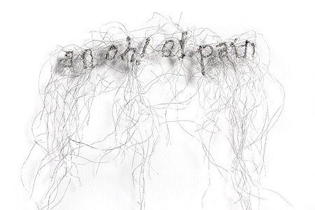 Rebecca Carter, Saudade (an oh! of pain), 2011
Cotton, polyester and rayon thread, 7 x 8 x 2 in.
RCA-025