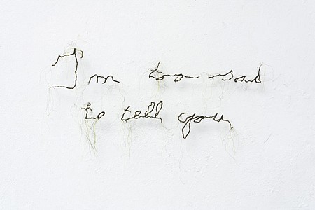 Rebecca Carter, I'm too Sad to Tell You, 2012
Cotton, polyester and rayon thread, 13 x 25 x 2 in.
RCA-024