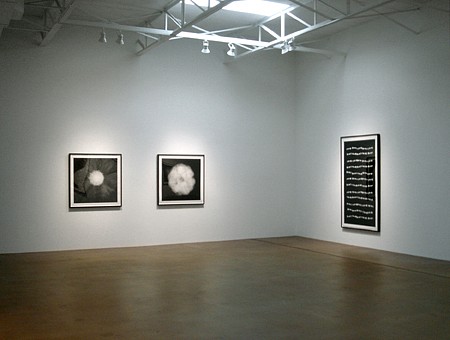 Stockpile: New Photographs by Dornith Doherty - Installation View