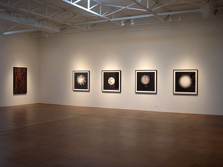 Stockpile: New Photographs by Dornith Doherty - Installation View