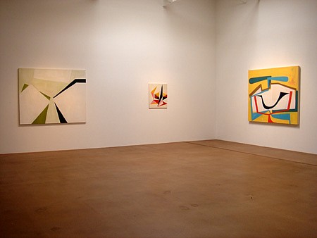 David Aylsworth: That Thing That Makes Vines Prefer to Cling - Installation View