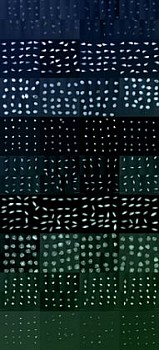 Work:&nbsp;Seed Viability X-Rays