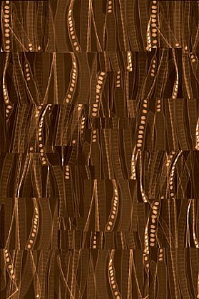 Dornith Doherty, Acacia, 2011
Digital Chromogenic Lenticular Photograph, Edition 1/3, 58 x 38 1/2 in. (147.3 x 97.8 cm)
DDO-135