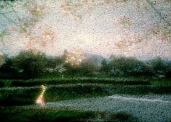 Dornith Doherty - Along the Kamo-gawa