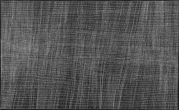 Dorothy Napangardi - Mina Mina