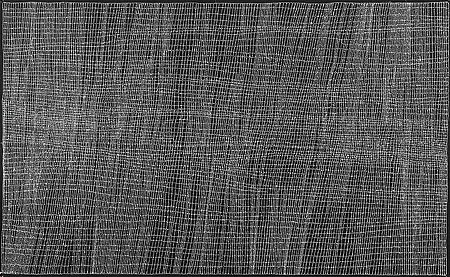 Dorothy Napangardi, Mina Mina, 2005
Acrylic on Belgian linen, 48 x 78 in. (121.9 x 198.1 cm)
DNA-002