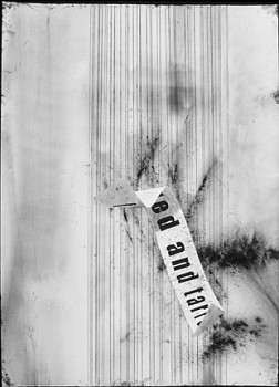 Randy Twaddle - Feathered and Tarred