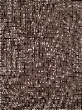 Dorothy Napangardi - Karntakurlangu Jukirrpa 1 (Women's Dreaming 1)