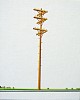 William Steiger, Telephone Pole No. 2
2006, Oil on linen