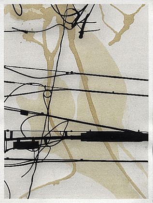 Randy Twaddle, DLD No. 12, 2011
Ink and coffee on paper, 16 1/8 x 12 1/8 in. (41 x 30.8 cm)
RTW-025