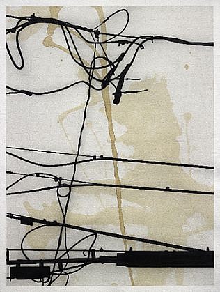Randy Twaddle, DLD No. 21, 2011
Ink and coffee on paper, 16 1/8 x 12 1/8 in. (41 x 30.8 cm)
RTW-029