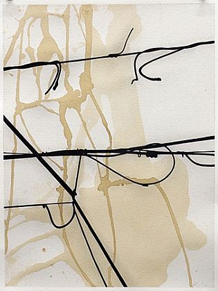 Randy Twaddle, DLD No. 28, 2012
Ink and coffee on paper, 16 1/8 x 12 1/8 in. (41 x 30.8 cm)
RTW-036