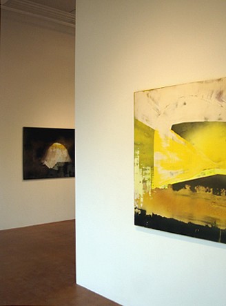 Michelle Mackey: Afterglow - Installation View
