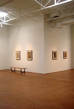 Andrew Young: Sky and Shade 