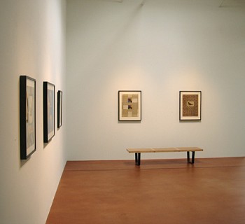 Andrew Young: Sky and Shade 