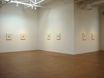 Gael Stack: Forty One Songs&nbsp;