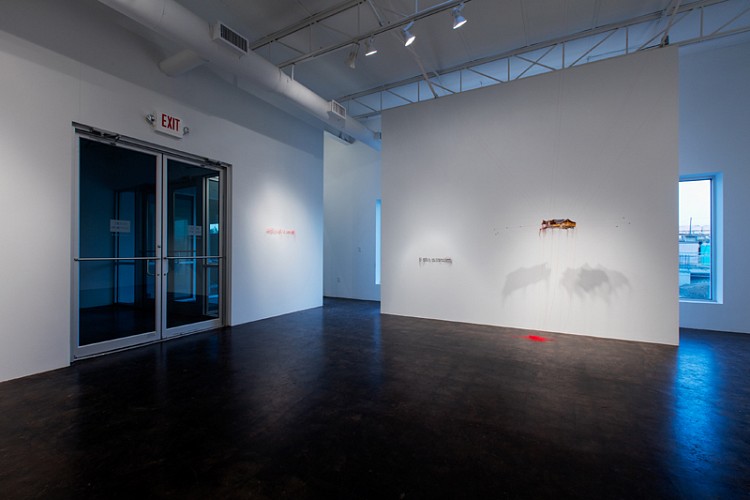 Rebecca Carter: A Thread House Has Whiskers - Installation View