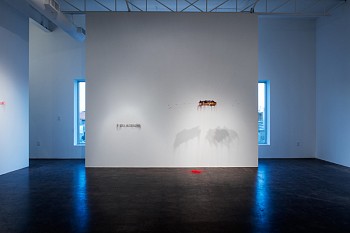 Rebecca Carter: A Thread House Has Whiskers&nbsp;