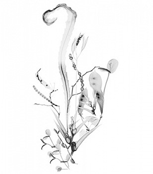 Work: Columbian Exchange I