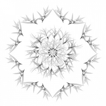 Dornith Doherty - Flash