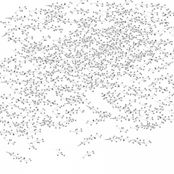 Dornith Doherty - Pycnantha