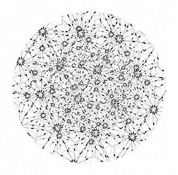 Dornith Doherty - Spiral Grass