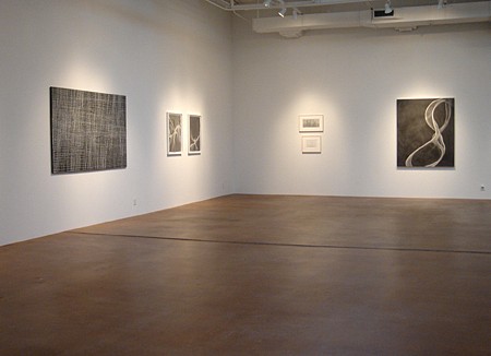 Theresa Chong News: PRESS RELEASE: Delineation at Holly Johnson Gallery, February 15, 2008