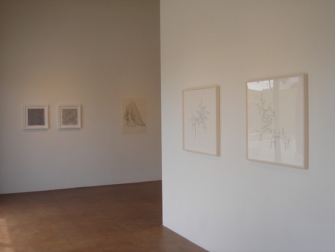 On Drawing: Line - Installation View