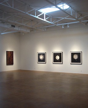 Stockpile: New Photographs by Dornith Doherty 