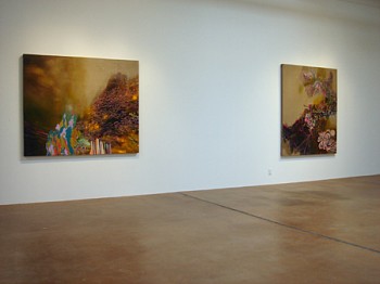 Jackie Tileston: Phenomorama&nbsp;