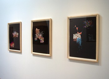 Jackie Tileston: Phenomorama&nbsp;