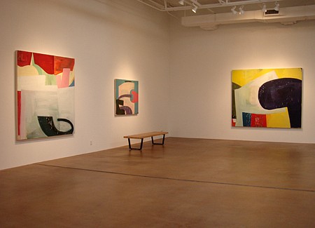 PRESS RELEASE: David Aylsworth: Is it the real turtle soup?, Nov 22 - Dec 24, 2008