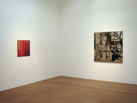 Casey Williams: Within - Installation View