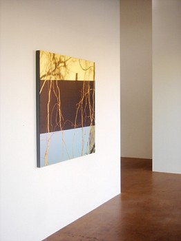 Casey Williams: Within&nbsp;