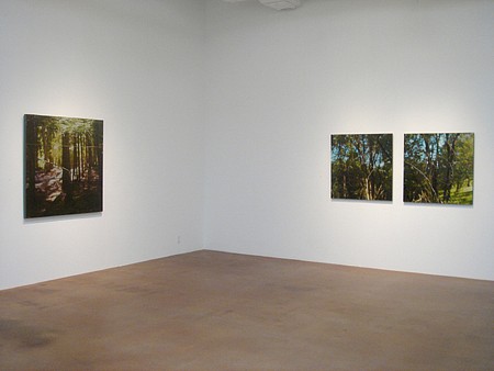 Casey Williams: Within - Installation View