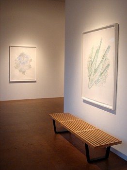 Todd Camplin: Language Reconstruction&nbsp;