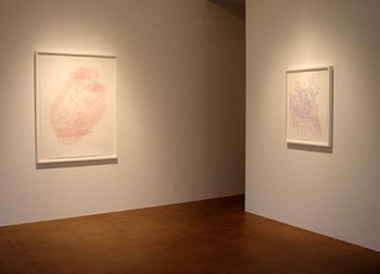 Todd Camplin: Language Reconstruction&nbsp;