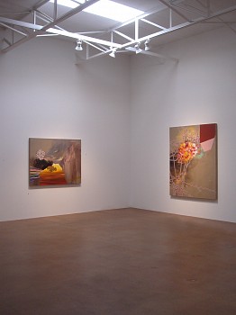 Freefall: Paintings by Jackie Tileston&nbsp;