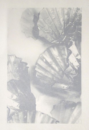 Joan Winter, Silent Light (Natural), 2010
Monoprint/Screenprint on Mulberry paper, 27 x 20 in.
JWI-155