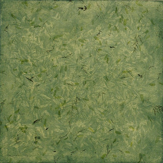 Joan Winter, Leaves Green, 2014
soft ground etching with chine colle BFK paper, 24 x 24 in.
JWI-161