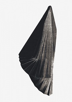 Joan Winter - Japan Series - Unfolding I