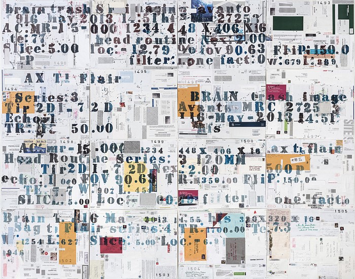 James Drake, Brain Trash, 2016
ink, charcoal on envelopes mounted on archival paper, 76 x 96 in.
JDR-055