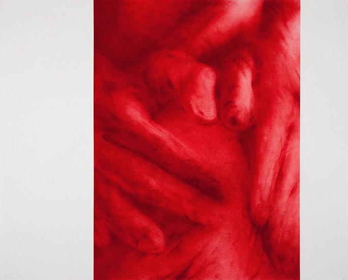 James Drake, Red Touch 1, 2000
Oil pastel with lasqoux fixative, 56 x 45 in.
JDR-071