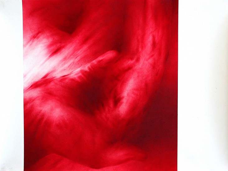 James Drake, Red Touch 3, 2000
Oil pastel with lasqoux fixative, 59 3/4 x 45 in.
JDR-073