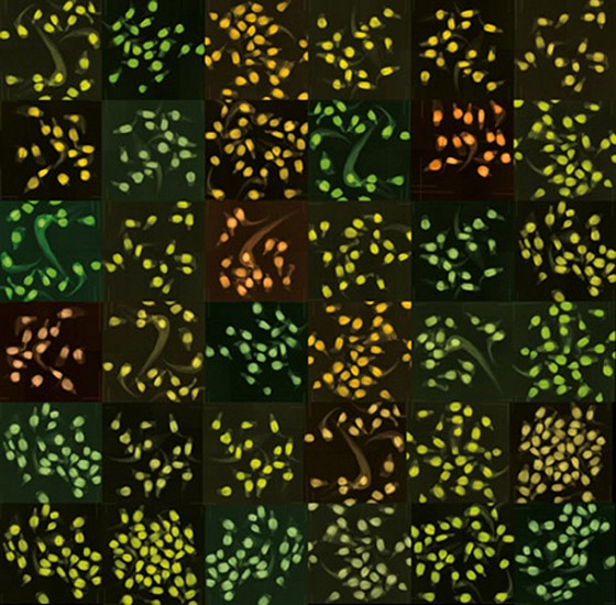 Dornith Doherty, Husk Corn, 2009
Digital chromogenic lenticular photograph, Edition of 3, 41 x 41 in. (104.1 x 104.1 cm)
3-Jan
DDO-108