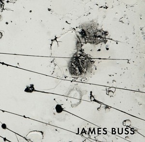 James Buss News: CATALOGUE RELEASE: James Buss at Holly Johnson Gallery, December 20, 2016