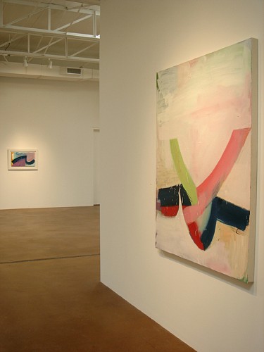 David Aylsworth: Similarly Occupied - Installation View