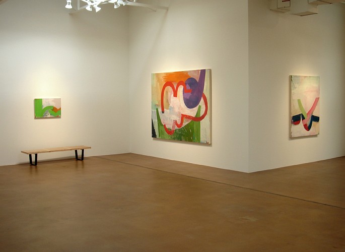 David Aylsworth: Similarly Occupied - Installation View