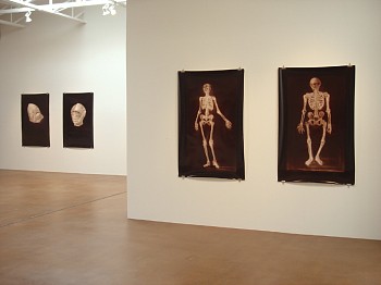 Alain Gerard Clement: A Decade of Photogenic Drawings&nbsp;