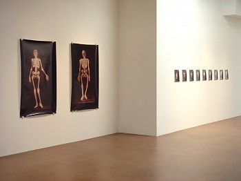 Alain Gerard Clement: A Decade of Photogenic Drawings&nbsp;